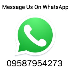 Ask Questions on WhatsApp