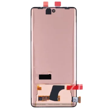 Vivo X100 Pro Display Combo