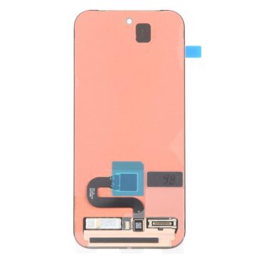 Google Pixel 10 Display Combo